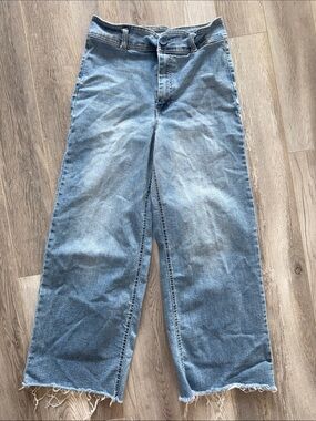 Oat New York Wide Leg Pant, Size 6